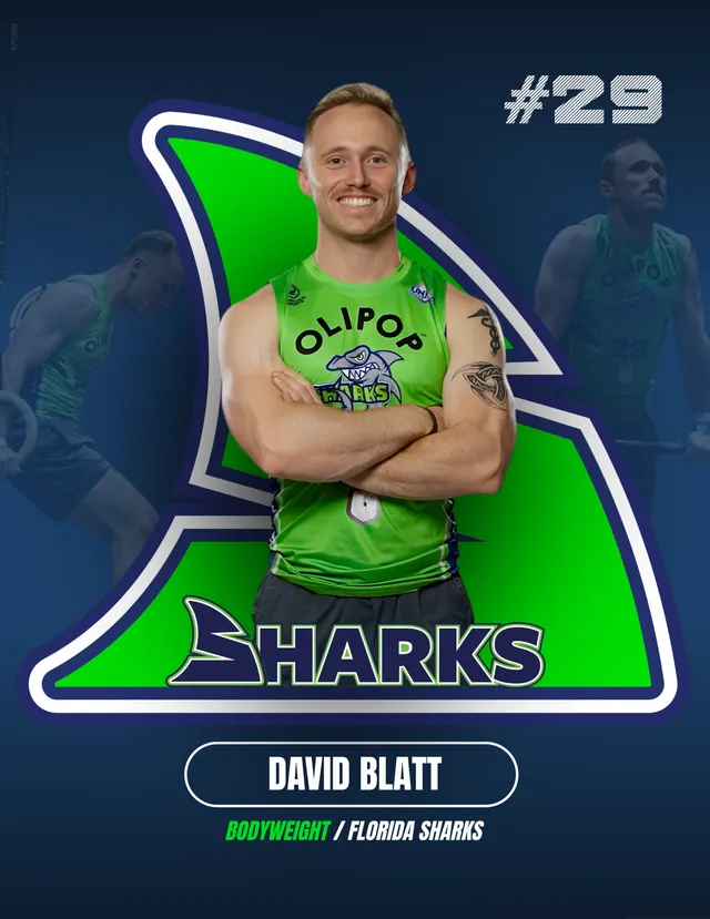 David Blatt player card