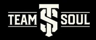 Player sponsor